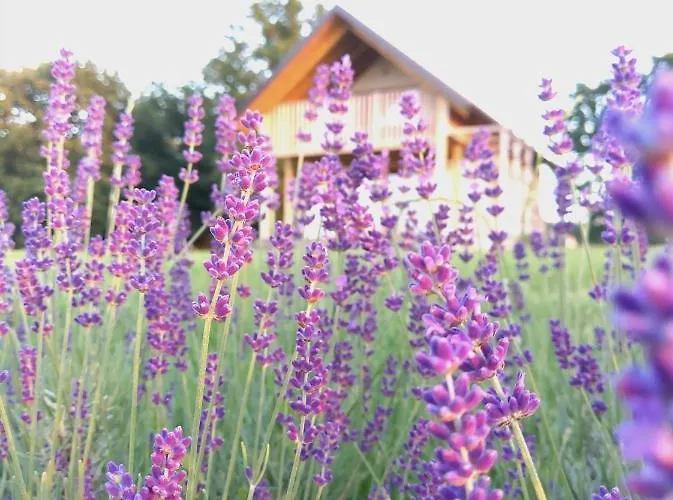 Apartment Hisa Iz Volne *