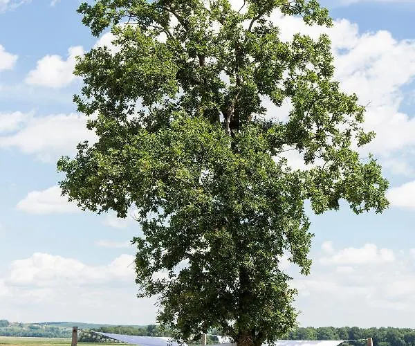 Hisa Iz Volne Apartment Moravske Toplice